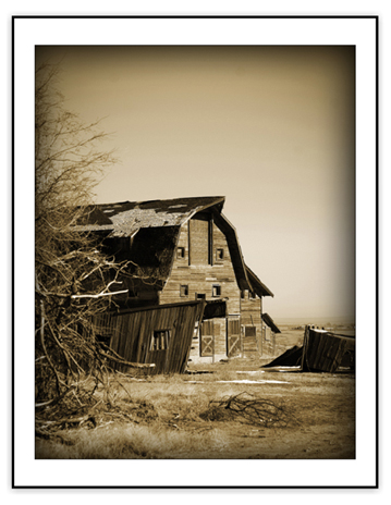 Ye Ole Barn