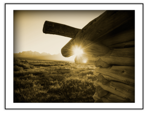 Rustic Collection